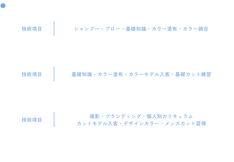 デビュースケジュール